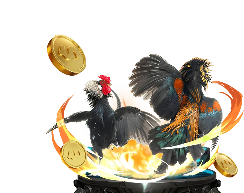 Giới thiệu về Blog jb88 nhà cái